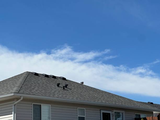 Best Sheet Metal Roofing  in Three Rivers, CA